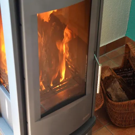 Charmante Vincent In Strandnaehe * Insel Poel