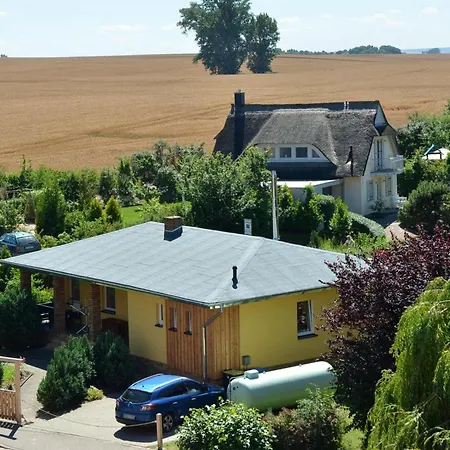 Charmante Vincent In Strandnaehe *