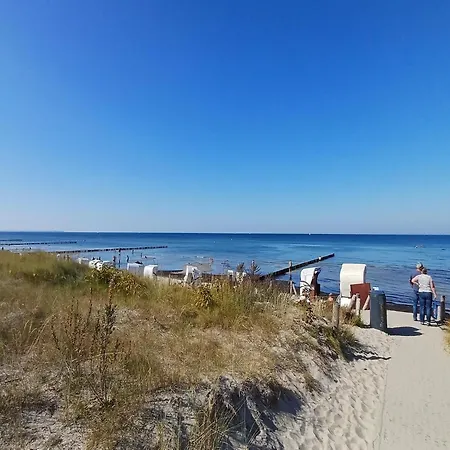 Charmante Vincent In Strandnaehe *