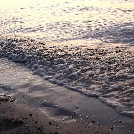 Charmante Vincent In Strandnaehe *