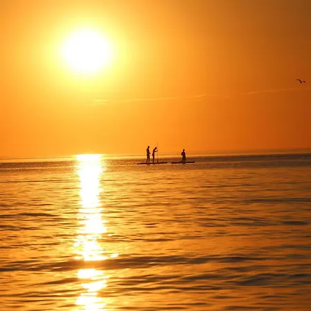 Charmante Vincent In Strandnaehe *
